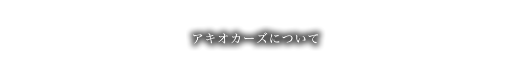 アキオカーズについて